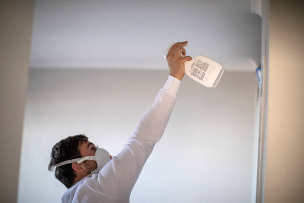 Best Affordable Mold Removal  in North Lakeville, MA